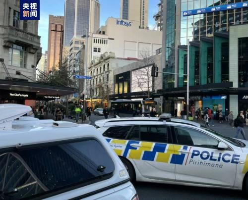 91亚洲国产成人久久精品网址