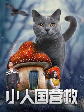 久久精品美女视频网站