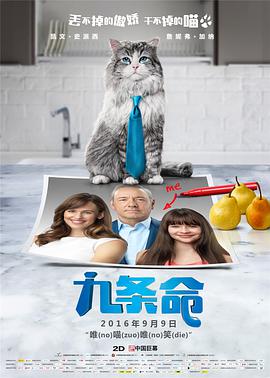 久久久久久久精品视频