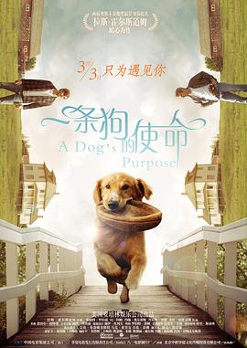 丁香婷婷在线视频