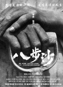 feijisu06