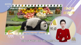 亚洲一区二区三区成人