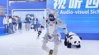 免费任我爽橹视频在线观看